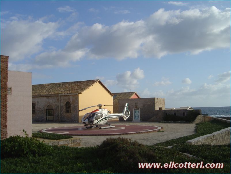 elifoto (183)